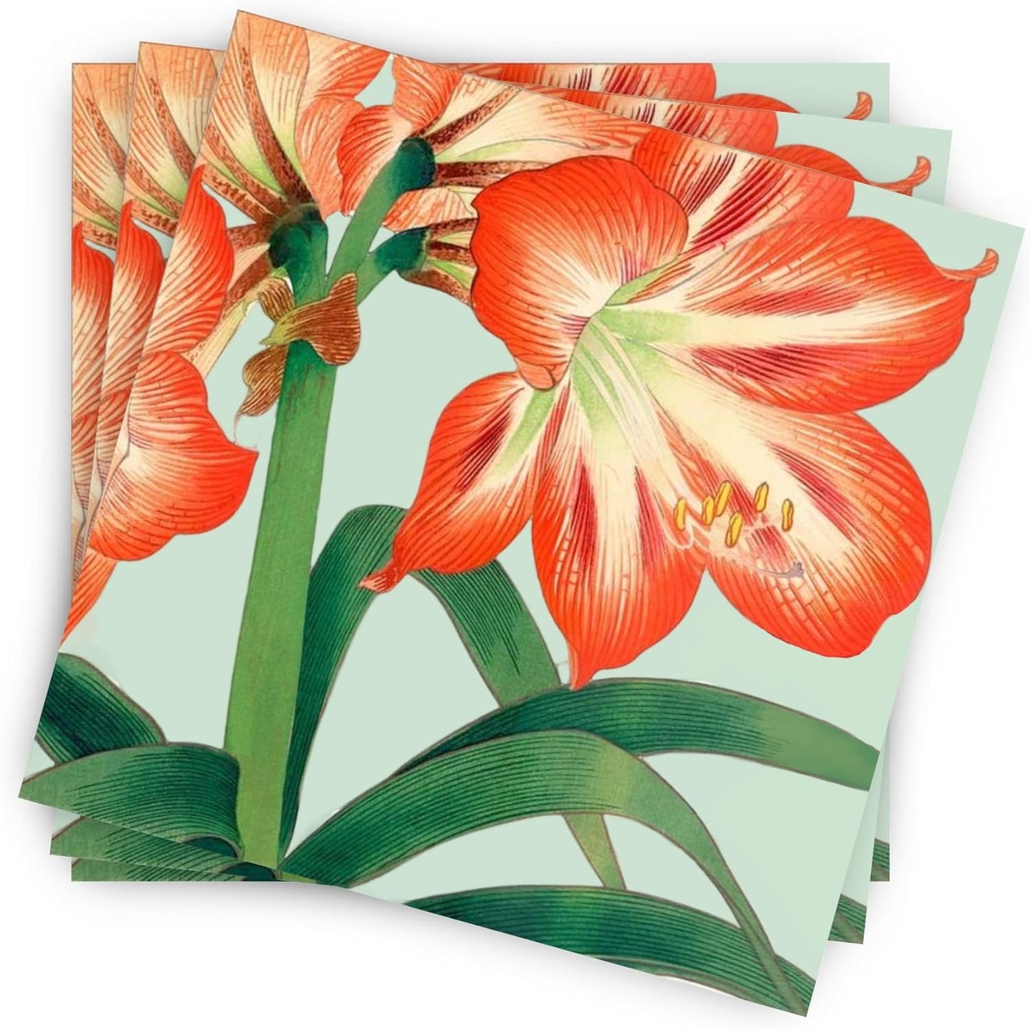 Amaryllis Cocktail Paper Napkins