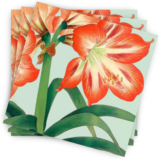 Amaryllis Cocktail Paper Napkins
